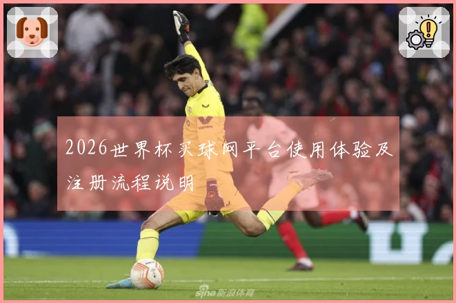2026世界杯买球网平台使用体验及注册流程说明