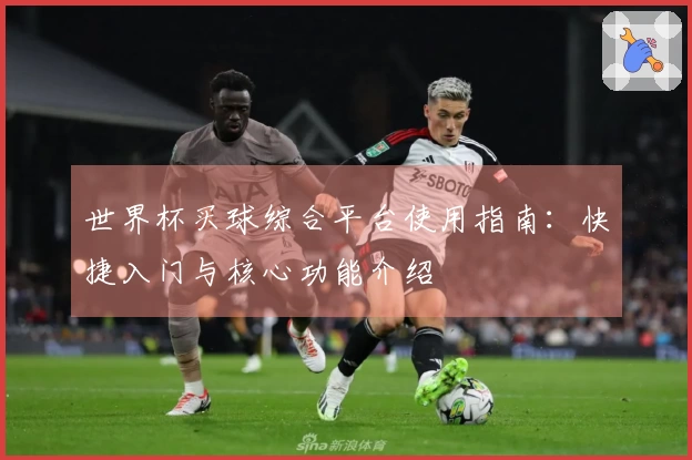 世界杯买球综合平台使用指南：快捷入门与核心功能介绍