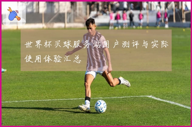 世界杯买球服务站用户测评与实际使用体验汇总