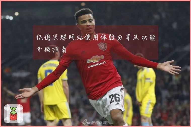 亿德买球网站使用体验分享及功能介绍指南