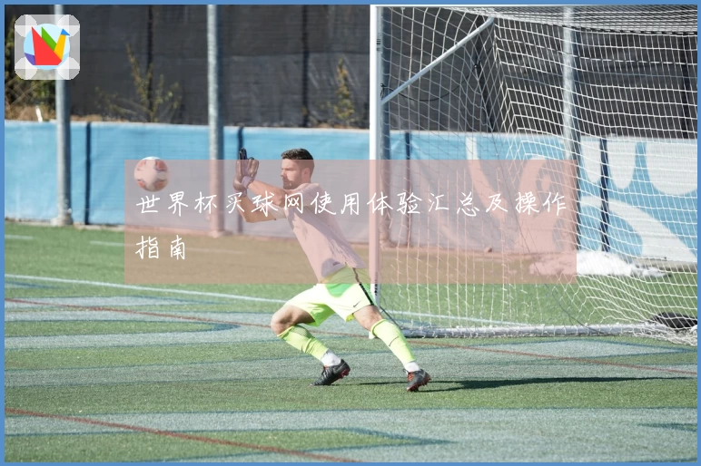 世界杯买球网使用体验汇总及操作指南