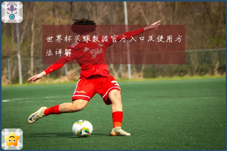 世界杯买球数据官方入口及使用方法详解