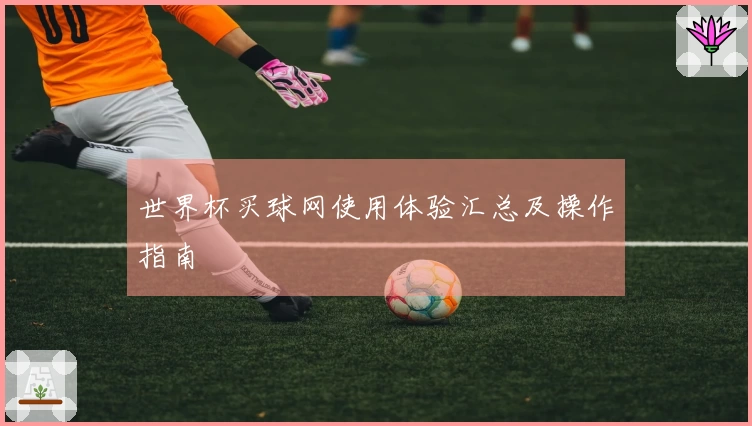 世界杯买球网使用体验汇总及操作指南
