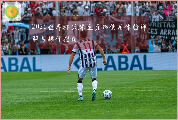 2026世界杯买球主页面使用体验详解与操作指南