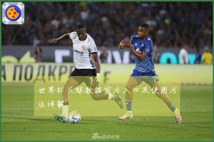 世界杯买球数据官方入口及使用方法详解