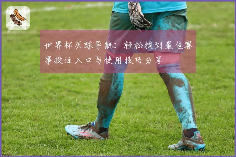 世界杯买球导航：轻松找到最佳赛事投注入口与使用技巧分享
