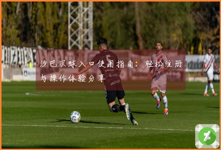 沙巴买球入口使用指南：轻松注册与操作体验分享