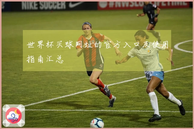 世界杯买球网址的官方入口及使用指南汇总