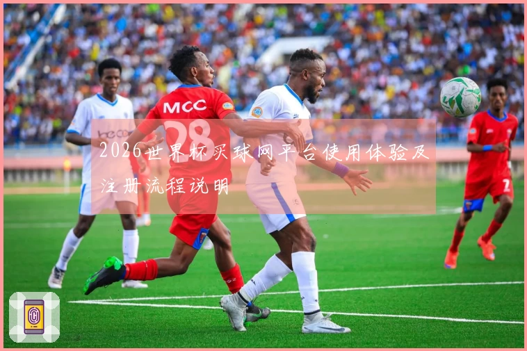 2026世界杯买球网平台使用体验及注册流程说明